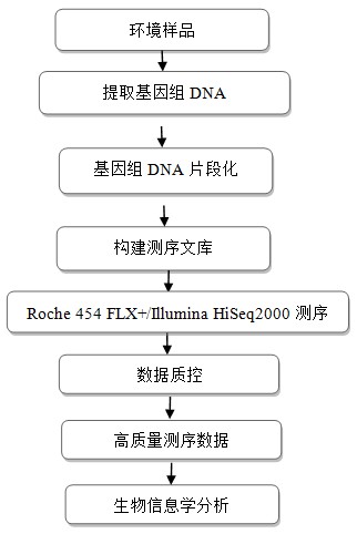 it技术_顺丰科技有限公司it支持_it技术支持