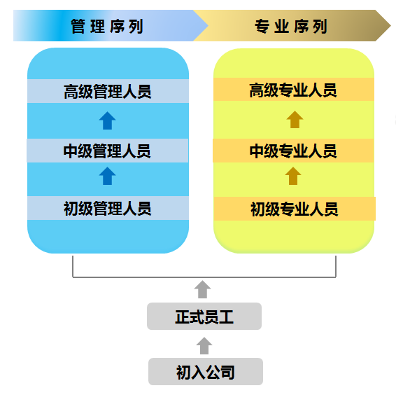 it技术人员_it人员的职业规划_it人员