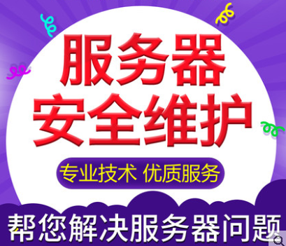 运维项目服务巡检报告_服务器运维外包_应急指挥系统运维服务